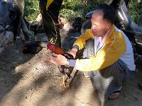 4 - Lac Inle - Pindaya - Kalaw (30)